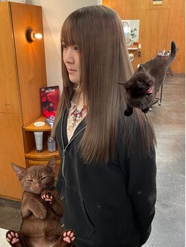 ニール 名古屋 伏見 丸の内(NEELU) 【NEELU_anzu】猫カラー　ワンカラーver