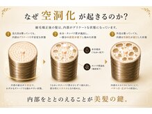 髪が扱いづらい原因は髪内部にある。