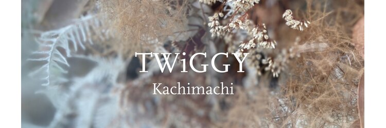 ツイギー 歩行町店(TWiGGY)のサロンヘッダー