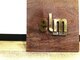 エルム(elm)の写真