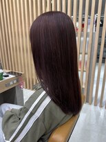 ピーディーヴィセオ 新さっぽろ店(PD VISEO)&nbsp;レッドブラウン