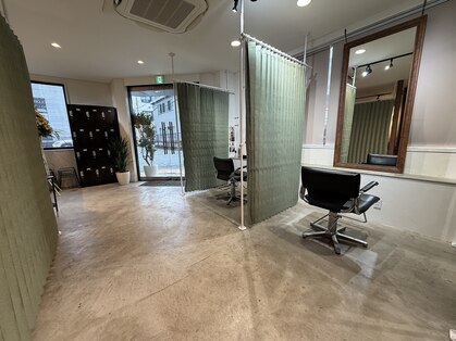 ロジャー(ROGER)の写真