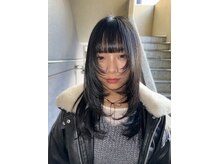 シカ(sica)