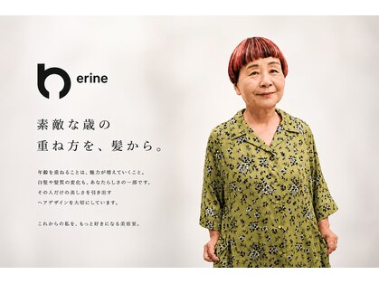 ネリネ(nerine)の写真