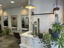 グリーン(green)の雰囲気（シンプルなインテリアと植物が癒しの空間を演出）