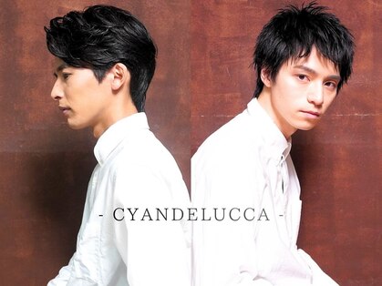 シアンデルカ(CYANDELUCCA)の写真