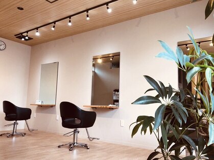 トッカ(Tocca)の写真