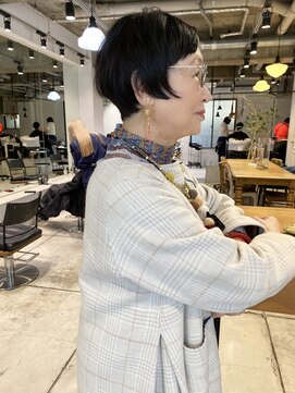 ダンボ(DUMBO) ザ シュート