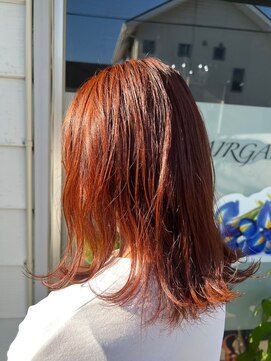 ネリネ(Nerine) オレンジブラウン