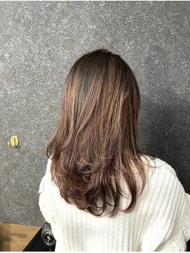 ネリネ(Nerine) グラデーション