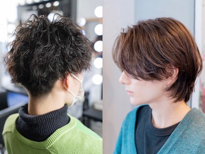 シャロン(SHARON)の写真