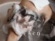 セン バイ エント(sen by emt)の写真