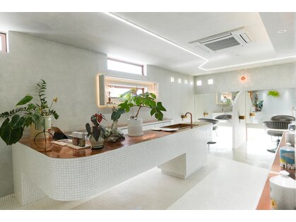 ピコラマノ(pico la mano)の写真