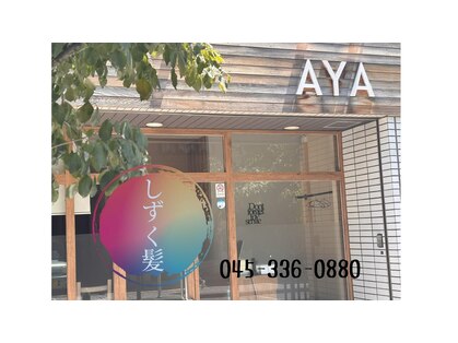 アヤ(AYA)の写真