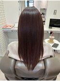 大人のうる艶レッドブラウンカラー【カミケンガレリア】