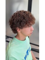 ステラ(STELLA)&nbsp;プードルパーマ