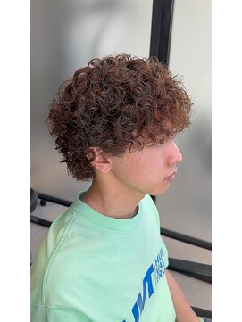 ステラ(STELLA) プードルパーマ