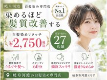 カラーのちから 岐阜河渡店