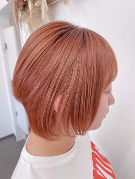 ダンクレスト(Daan Crest) 【フルブリーチ】×【オレンジ】