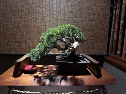 浮世床の写真