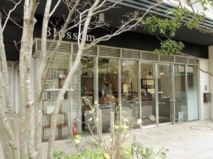 ブロッサム プラウドシティ志木本町店(Blossom)の写真