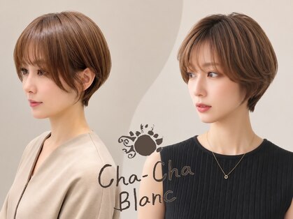 チャチャブラン(cha-cha Blanc)の写真