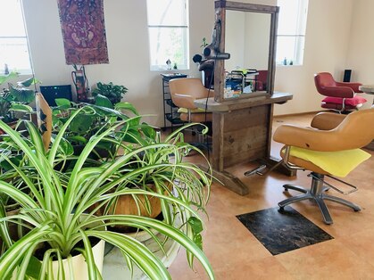 メイツゲンの写真