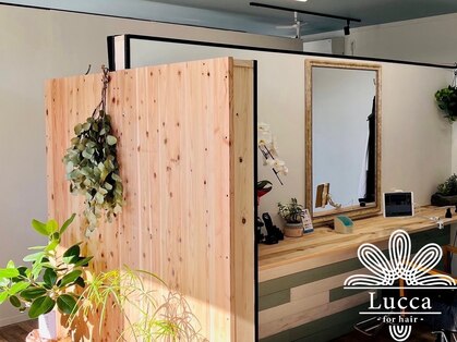 ルッカ(Lucca)の写真