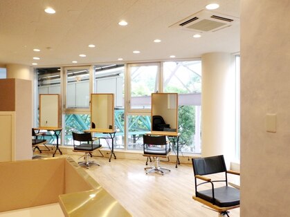 ブラウン (BROWN)の写真