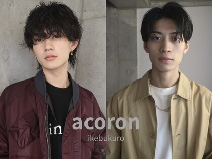アコロン(acoron.)の写真