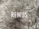 リーマス(REMUS)の写真