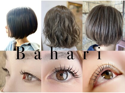 バハリ(Bahari)の写真
