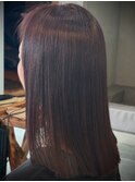 レディース★ミディアム＊レッドブラウン