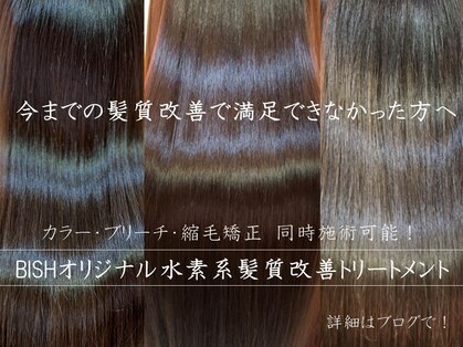 ヘアーズビシュ Hair's BISHの写真