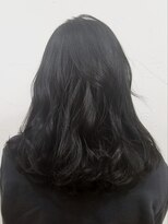 ウィロー(WILLOW)&nbsp;【WILLOW】2ｌｖスモーキーブラック(小玉泰基)