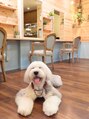 ヘアーメイク カフェ(hair make cafe) 信玄 