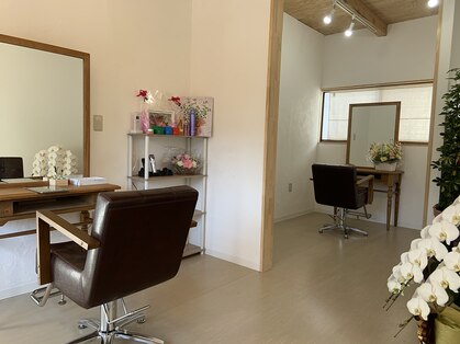 ティティス(Titis)の写真