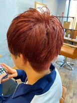 スカイフィールドヘアー(SKY FIELD HAIR)&nbsp;レッドマッシュ