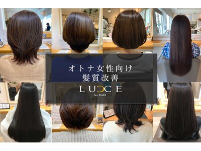 ルーチェ(LUCE)