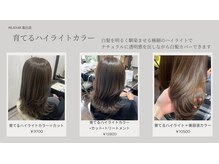 リジェール高辻店の【脱白髪染めメニュー】のご紹介