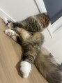 キララ(kirara) たま2歳
