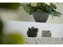 ウタタネ 北千住(utatane)の雰囲気（店内は美術館のような落ち着いた雰囲気。）