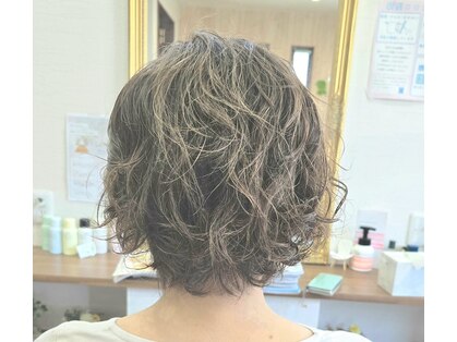フィカス(Ficus)の写真