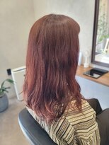 アネモネ(anemone) ロングスカーレットカラー