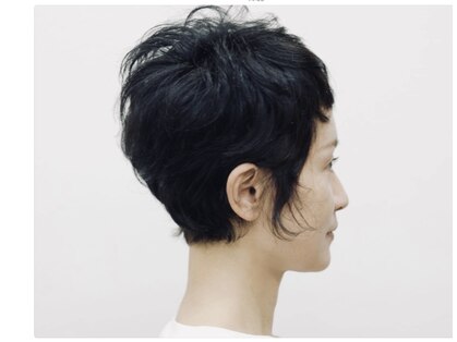 イトウ(ITOH)の写真