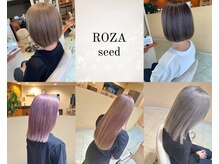 ローザシード(ROZA seed)