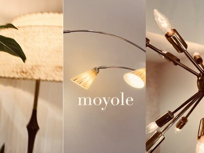 モヨレ(moyole)の写真