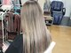 シャルシェ(Chercher)の写真