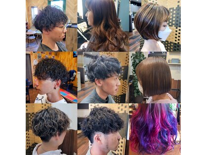 ノトア(notoa)の写真