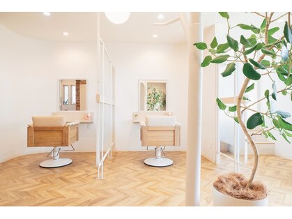 エムブランシェ(Mbranche)の写真